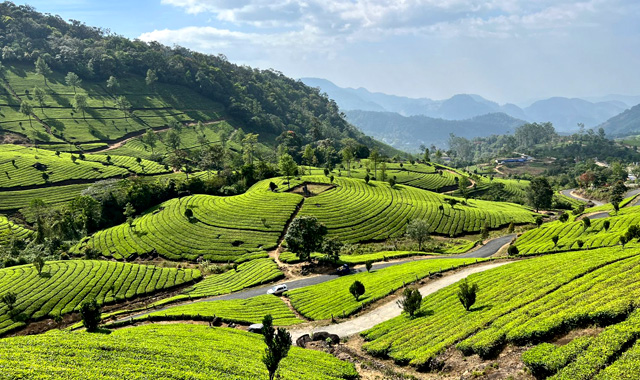 Munnar